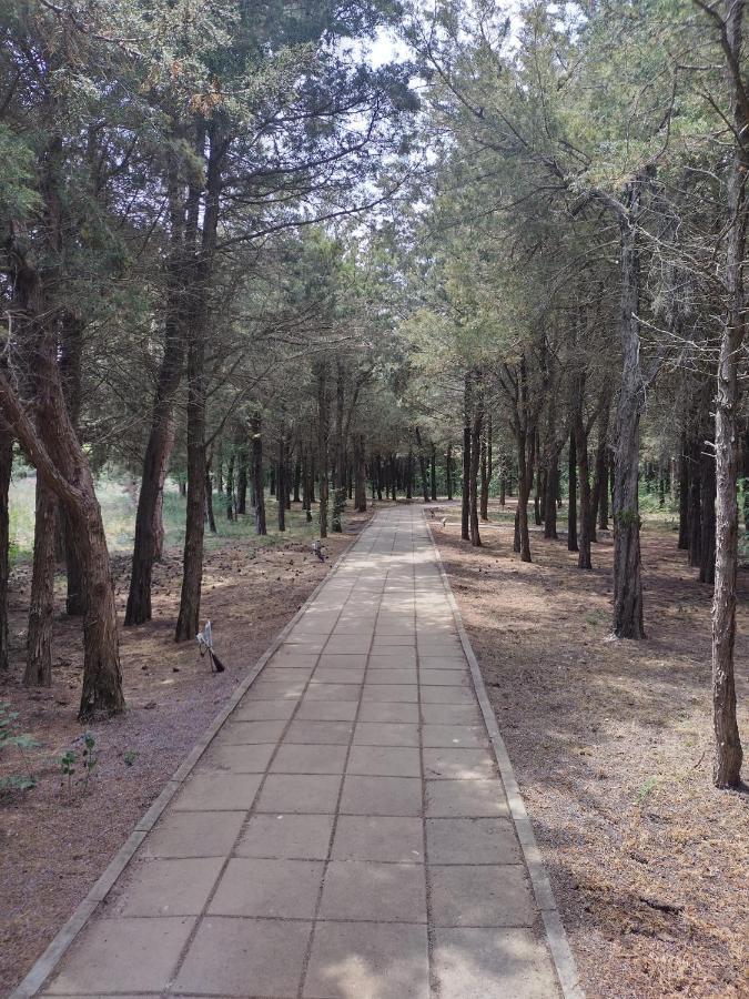 Douăzeci şi Trei August Blaxy Resort Stefi Cu Acces La Piscine Gratuit מראה חיצוני תמונה