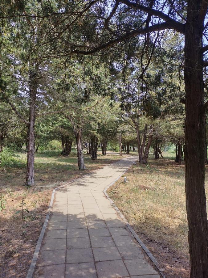 Douăzeci şi Trei August Blaxy Resort Stefi Cu Acces La Piscine Gratuit מראה חיצוני תמונה